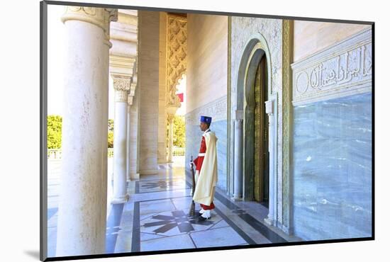 Royal Guard on Duty at Mausoleum of Mohammed V, Rabat, Morocco, North Africa, Africa-Neil Farrin-Mounted Photographic Print