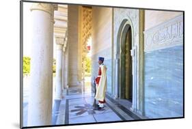 Royal Guard on Duty at Mausoleum of Mohammed V, Rabat, Morocco, North Africa, Africa-Neil Farrin-Mounted Photographic Print