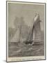 Royal Halifax (Nova Scotia) Yacht Club Race-null-Mounted Giclee Print
