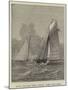 Royal Halifax (Nova Scotia) Yacht Club Race-null-Mounted Giclee Print