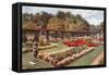 Royal Hall Gardens, Harrogate-Alfred Robert Quinton-Framed Stretched Canvas