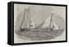 Royal Harwich Regatta, The Amazon Winning the Commodore's Cup-Edwin Weedon-Framed Stretched Canvas