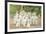 Royal Hawaiian Band, Honolulu, Hawaii-null-Framed Premium Giclee Print