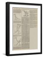 Royal Institution Lectures, Pterodactyles and their Contemporaries-null-Framed Giclee Print