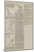 Royal Institution Lectures, Pterodactyles and their Contemporaries-null-Mounted Giclee Print