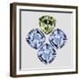 Royal Jewels XV-Sydney Edmunds-Framed Giclee Print