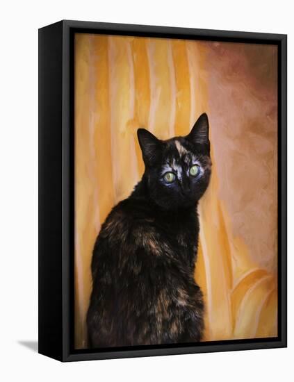 Royal Kitten-Jai Johnson-Framed Stretched Canvas