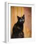 Royal Kitten-Jai Johnson-Framed Giclee Print