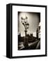 Royal Lamppost UK and Houses of Parliament and Westminster Bridge - Big Ben - London - England-Philippe Hugonnard-Framed Stretched Canvas