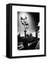 Royal Lamppost UK and Houses of Parliament and Westminster Bridge - Big Ben - London - England-Philippe Hugonnard-Framed Stretched Canvas