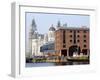 Royal Liver Building and Albert Docks, UNESCO World Heritage Site, Liverpool, Merseyside, England, -Chris Hepburn-Framed Photographic Print