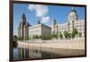 Royal Liver Building, Cunard Building and Port of Liverpool Building, UNESCO World Heritage Site-Frank Fell-Framed Photographic Print