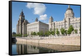 Royal Liver Building, Cunard Building and Port of Liverpool Building, UNESCO World Heritage Site-Frank Fell-Framed Stretched Canvas