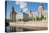 Royal Liver Building, Cunard Building and Port of Liverpool Building, UNESCO World Heritage Site-Frank Fell-Stretched Canvas