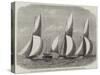 Royal London Yacht Club Cutter-Match, the Niobe, Sphinx, and Vindex Off Coalhouse Point-Edwin Weedon-Stretched Canvas