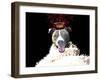 Royal Love Pup - Pit Bull Terrier-Tina Lavoie-Framed Giclee Print