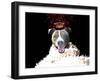 Royal Love Pup - Pit Bull Terrier-Tina Lavoie-Framed Giclee Print