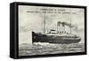 Royal Mail Line, R.M. Turbine Steamer St Petersburg-null-Framed Stretched Canvas