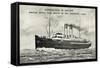 Royal Mail Line, R.M. Turbine Steamer St Petersburg-null-Framed Stretched Canvas