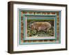 Royal Mangalitzer Pig-Alex Williams-Framed Giclee Print