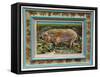 Royal Mangalitzer Pig-Alex Williams-Framed Stretched Canvas