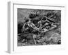 Royal Marine Comandos Man a Trench at San Carlos, 1982 (B/W Photo)-English Photographer-Framed Giclee Print