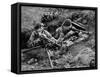 Royal Marine Comandos Man a Trench at San Carlos, 1982 (B/W Photo)-English Photographer-Framed Stretched Canvas