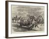 Royal Marriage Festivities in Spain, a Bull-Fight at Madrid-null-Framed Giclee Print