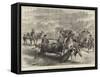 Royal Marriage Festivities in Spain, a Bull-Fight at Madrid-null-Framed Stretched Canvas