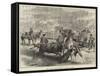 Royal Marriage Festivities in Spain, a Bull-Fight at Madrid-null-Framed Stretched Canvas