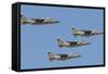 Royal Moroccan Air Force Alpha Jets Flying over Morocco-Stocktrek Images-Framed Stretched Canvas