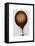 Royal Nassau Balloon Hot Air Balloon-Fab Funky-Framed Stretched Canvas