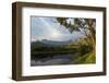 Royal Natal National Park with a view of the Amphitheatre. KwaZulu Natal. South Africa.-Roger De La Harpe-Framed Photographic Print