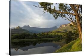 Royal Natal National Park with a view of the Amphitheatre. KwaZulu Natal. South Africa.-Roger De La Harpe-Stretched Canvas