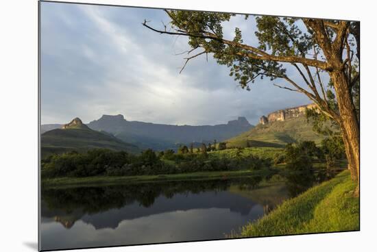 Royal Natal National Park with a view of the Amphitheatre. KwaZulu Natal. South Africa.-Roger De La Harpe-Mounted Photographic Print