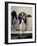 Royal Naval Uniform Worn by Nelson at the Battle of Trafalgar in 1805-null-Framed Giclee Print