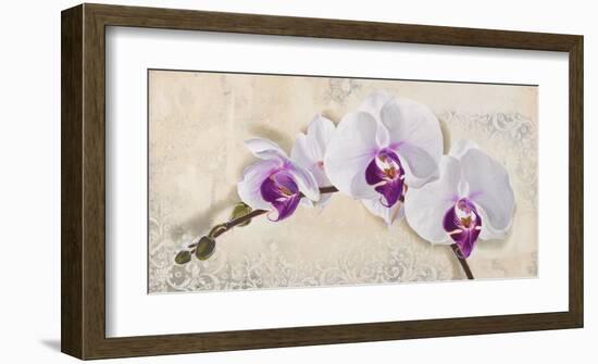 Royal Orchid-Elena Dolci-Framed Art Print