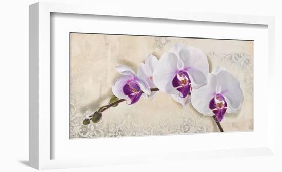 Royal Orchid-Elena Dolci-Framed Art Print