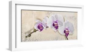 Royal Orchid-Elena Dolci-Framed Art Print