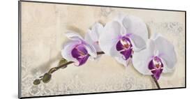 Royal Orchid-Elena Dolci-Mounted Art Print