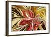 Royal Orchid-Rabi Khan-Framed Art Print