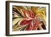 Royal Orchid-Rabi Khan-Framed Art Print