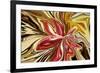 Royal Orchid-Rabi Khan-Framed Art Print