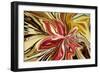 Royal Orchid-Rabi Khan-Framed Premium Giclee Print