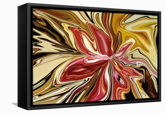 Royal Orchid-Rabi Khan-Framed Stretched Canvas