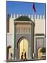 Royal Palace, Fez, Morocco, North Africa, Africa-Marco Cristofori-Mounted Photographic Print