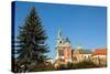 Royal Palace in Wawel in Krakow.-De Visu-Stretched Canvas