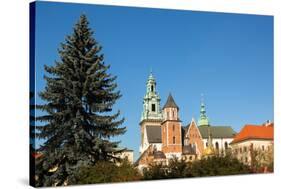 Royal Palace in Wawel in Krakow.-De Visu-Stretched Canvas