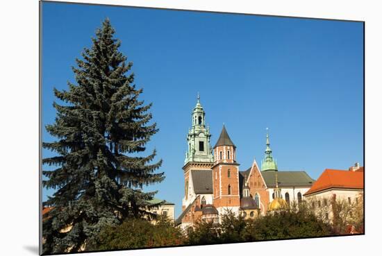 Royal Palace in Wawel in Krakow.-De Visu-Mounted Photographic Print