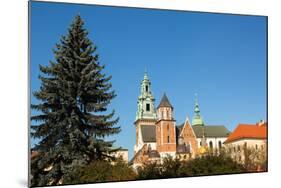 Royal Palace in Wawel in Krakow.-De Visu-Mounted Photographic Print